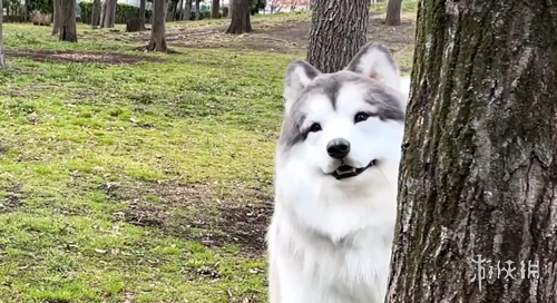 中国游戏市,外媒看好大,乐透期号专,2026FIFA世界杯直播赛程,世界杯门票